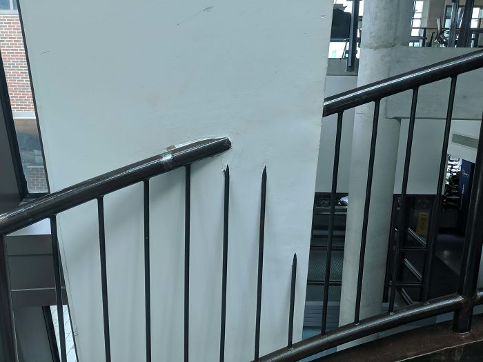 Found This Beauty At My Local College