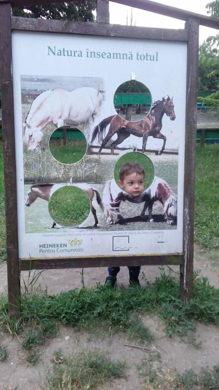 I Have Always Wanted To Be A Horse Back