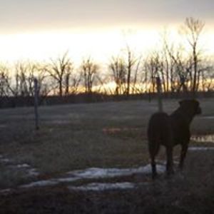 thinkbasedaction avatar