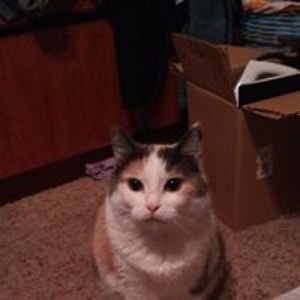 katlynn_hanks avatar