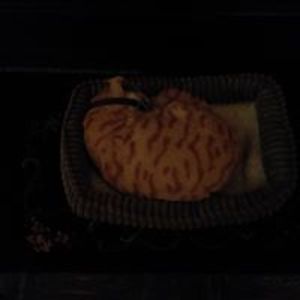 rickwelsbacher_1 avatar