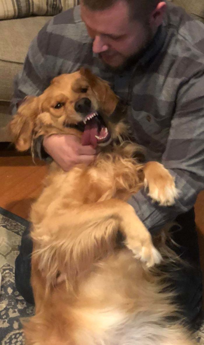 Funny-Dog-Teeth-Toofers