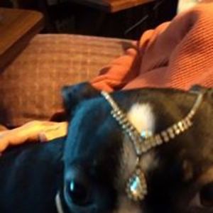 nice2mtyoualso avatar