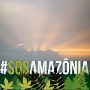 lfrancoprofed avatar