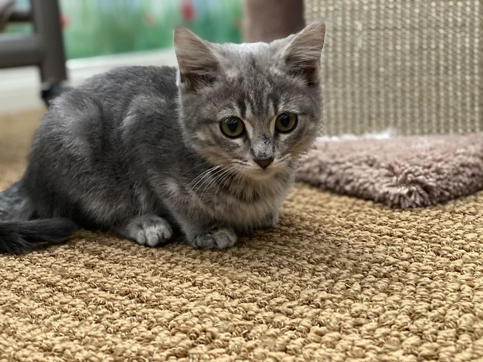 I Got A New Little Baby! Her Names Mochi