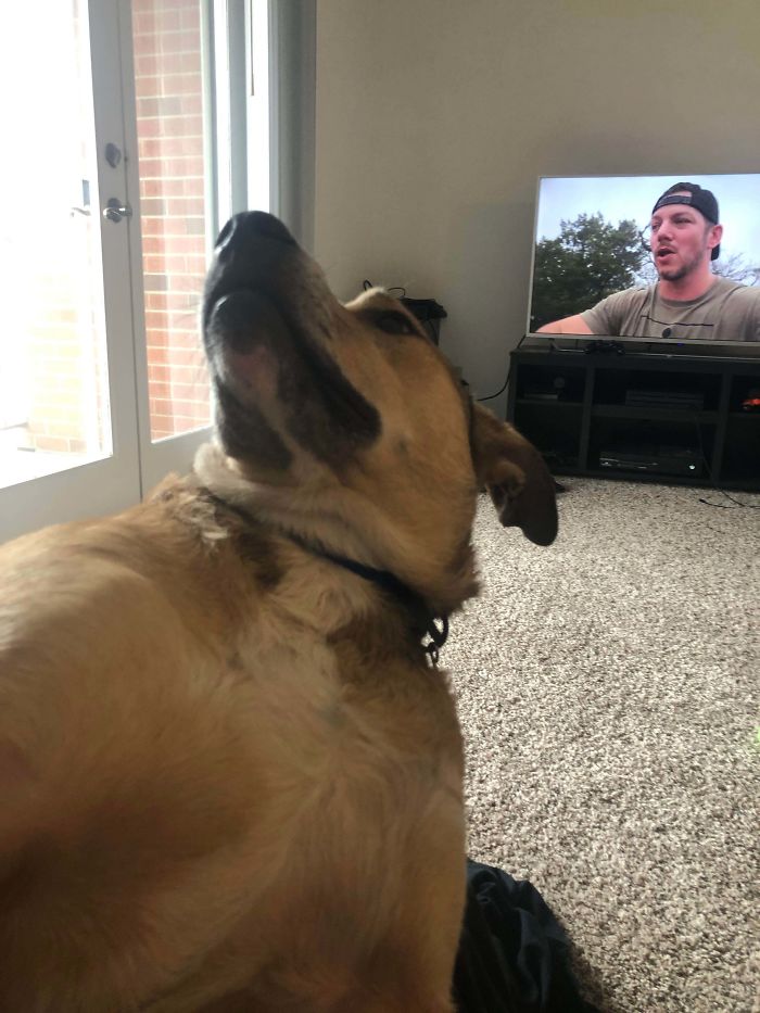 Just Rescued This Big Baby Named Hunter