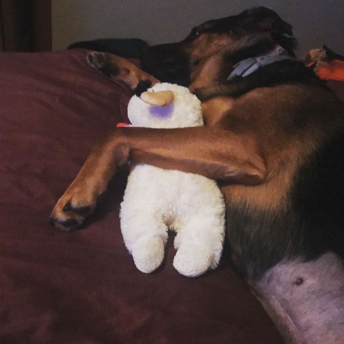 Going On Two Weeks Of Having Her Now. She’s So Happy To Finally Have A Home.