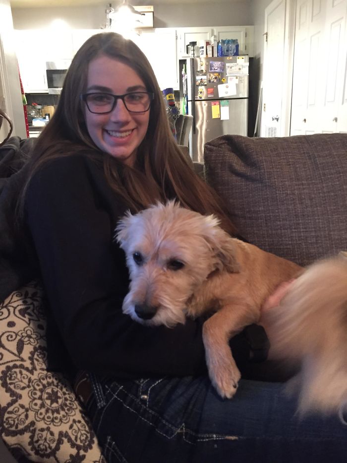 My Rescue Josie. She Went From Being Terrified Of New People (Hiding, Shaking, Whimpering) To Demanding Attention And Snuggles!!! She’s Come A Long Ways!