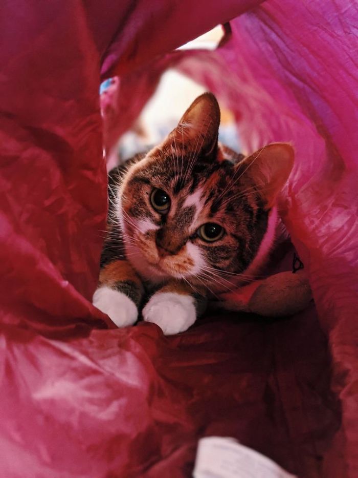 So Happy We Rescued This One