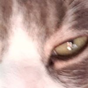 anelizabethanderson avatar