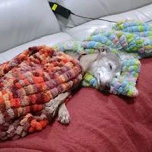 christine_m_damen avatar