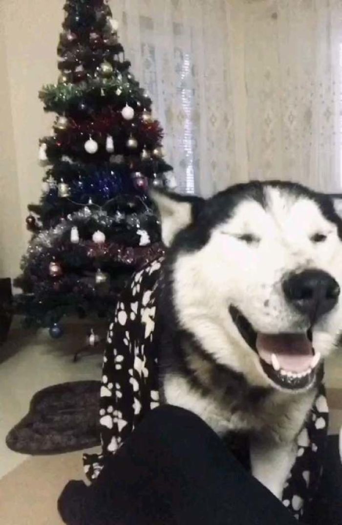 My Girlfriend Adopted A 5 Year Old Handsome Boy 