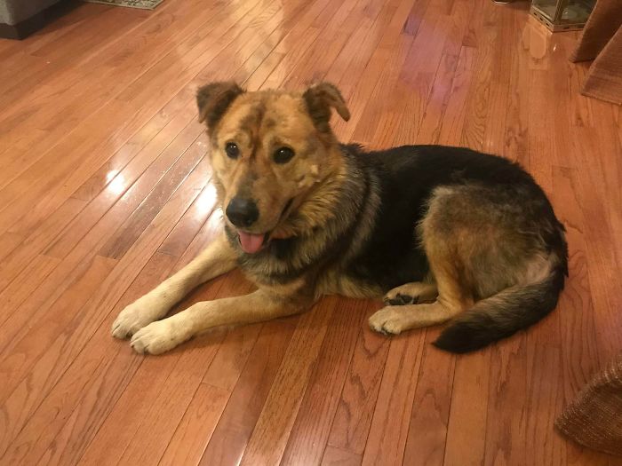 We Got Adopted Today!