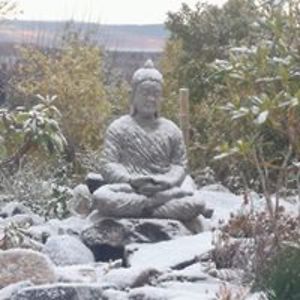 stephenpicton avatar