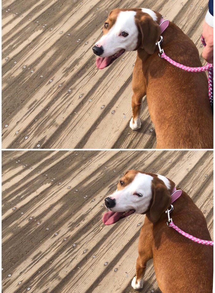 Adopted This Girl Yesterday And Took Her To The Park Today. She Was So Happy With Everyone Giving Her Compliments!