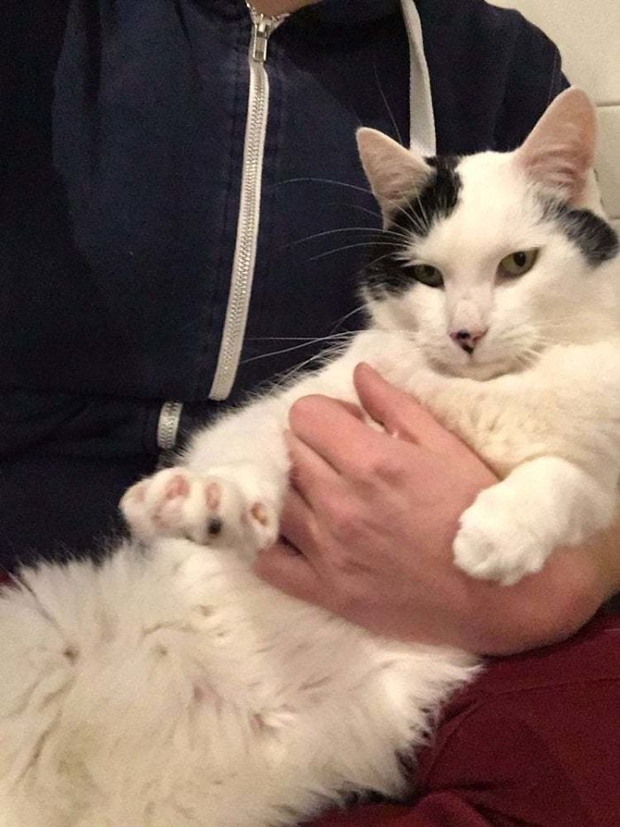 This Is Barry, Adopted Only 48 Hours Ago. He Was Supposed To Be Very Shy. I Think He’ll Be Fine