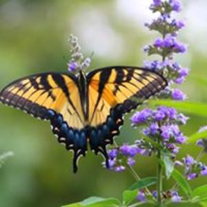 fortworthrealtor01 avatar