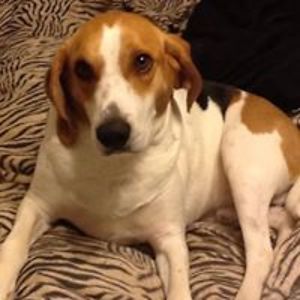 melissamclaughlin64 avatar