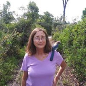 windtwirlerradish avatar