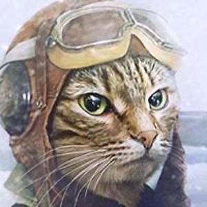twelvepaws avatar