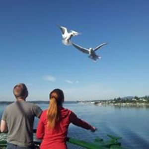 pamofthedesert avatar