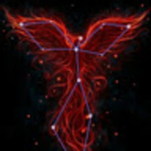 sophiacastaneda avatar