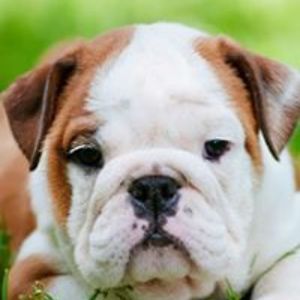 jameson_matthew avatar