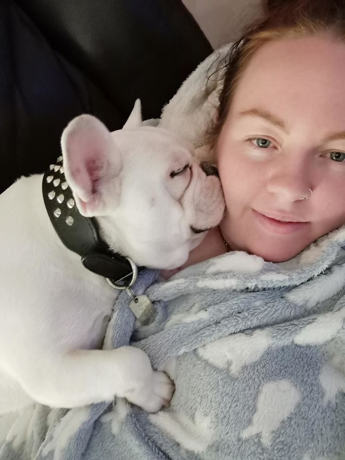 Louie My Rescue Frenchie. Turns Out This Little Man Was Born Deaf And Has Anxiety. I Must Say That He Does Give The Bestest Cuddles A Good Boy Could Give Though
