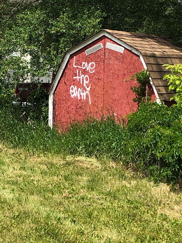 Polite-Graffiti