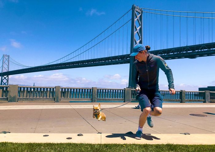 My Frenchie Racing With My Husband