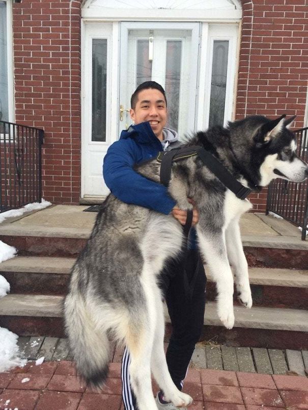 Picked Up My Best Friend Exactly One Year Ago Today, Meet Fenrir