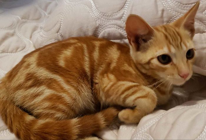 Just Adopted This Little Boy! Any Name Sugestions?