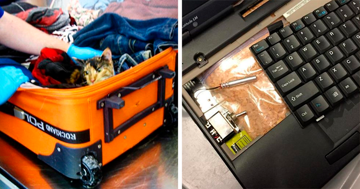 TSA Instagram Account Posts The Strangest Things They Confiscate (30 Pics)