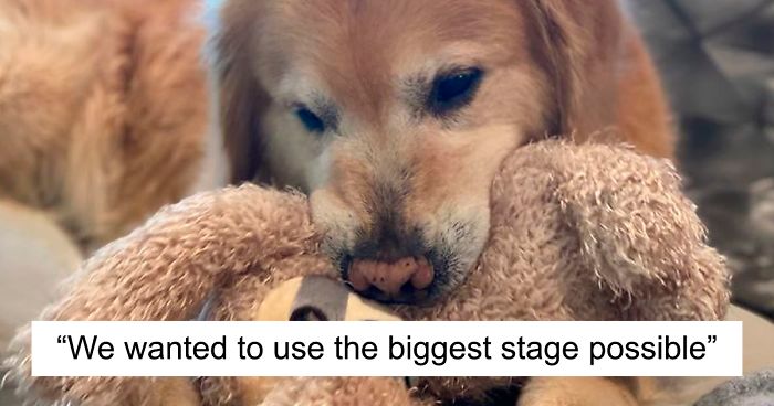 Vets Save Man’s Dog From Cancer, He Thanks Them With A $6M Super Bowl Ad