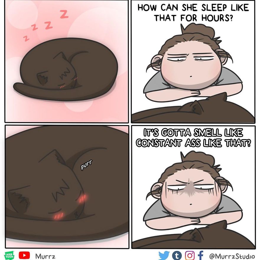 New-Funny-Everyday-Comics-Murrzstudio