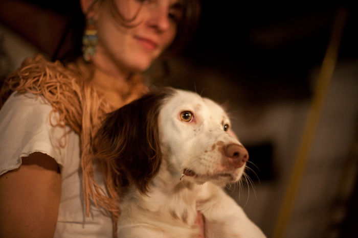 According To Facebook Data, Dog People Have More Friends While Cat People Get Invited To More Events