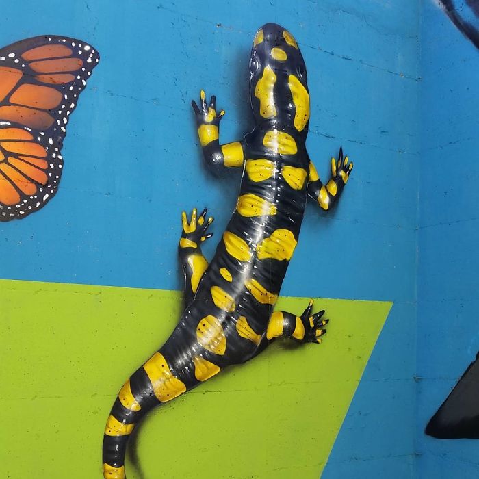 3D street art of a black and yellow salamander climbing a colorful wall with a painted butterfly nearby.