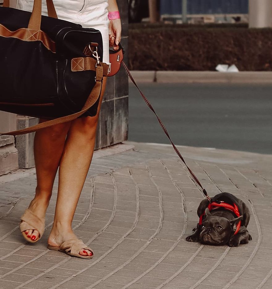 I Try To Prove That An Expensive Camera Doesn't Matter By Photographing With One Of The Most Underrated And Cheap Cameras