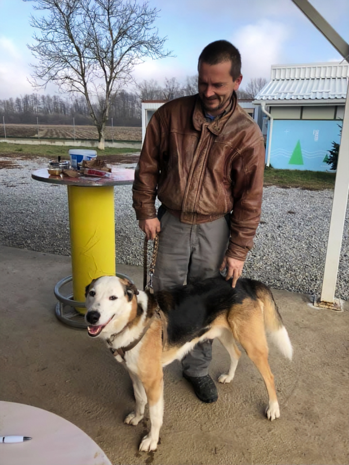 I Did A Photoshoot Of Shelter Dogs, And They All Got Adopted I Did A Photoshoot Of Shelter Dogs, And They All Got Adopted