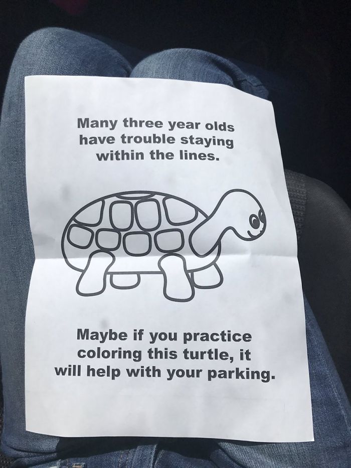 Funny message and a turtle on the paper 