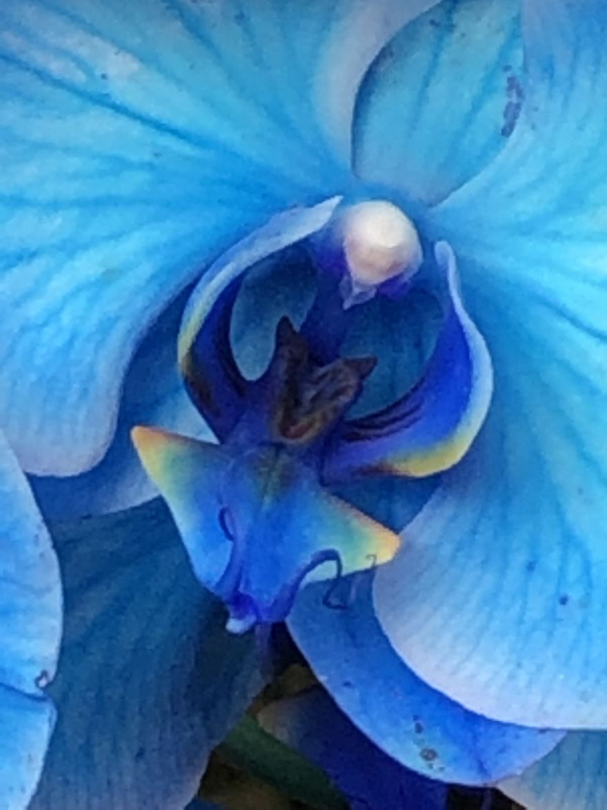 Beautiful Flowers Abound