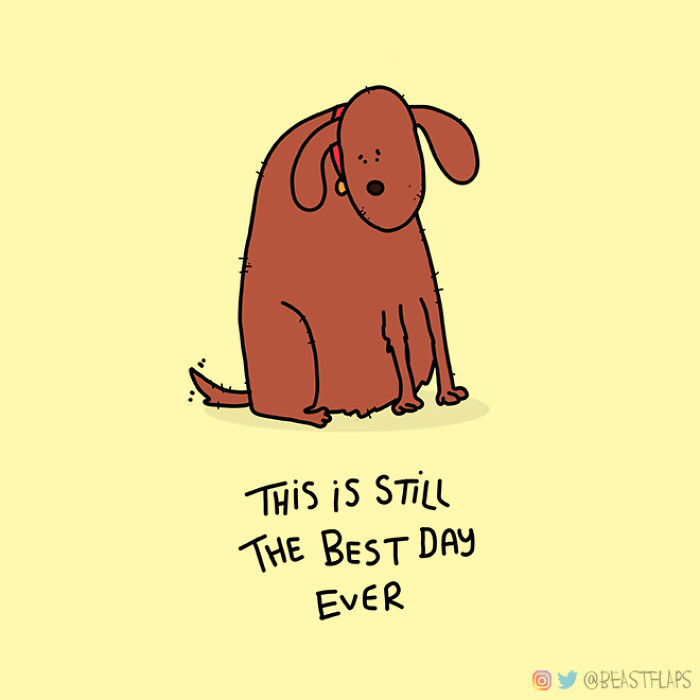 I Decided To Get Myself Out Of A Creative Rut This Year By Promising To Draw One Grumpy Animal Every Single Day