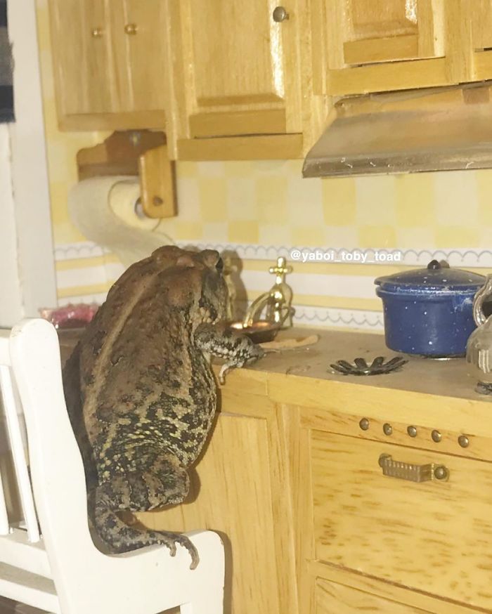 I Hate Worshin Dishs