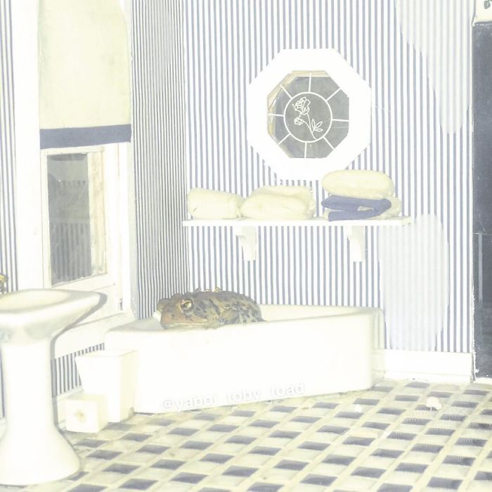 O Bröther Not Again