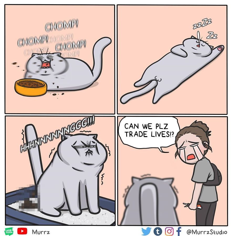 New-Funny-Everyday-Comics-Murrzstudio