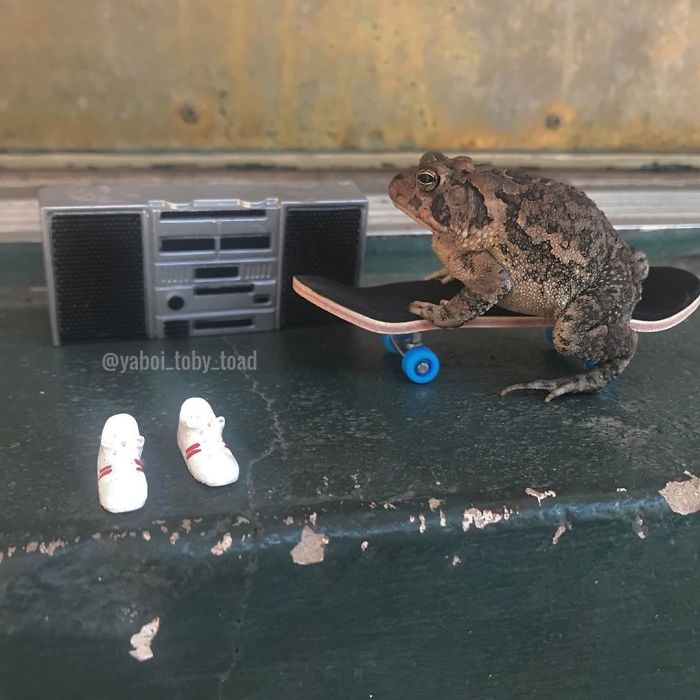 Yeeeehhhhh Shredddd Itttt Heh Heh