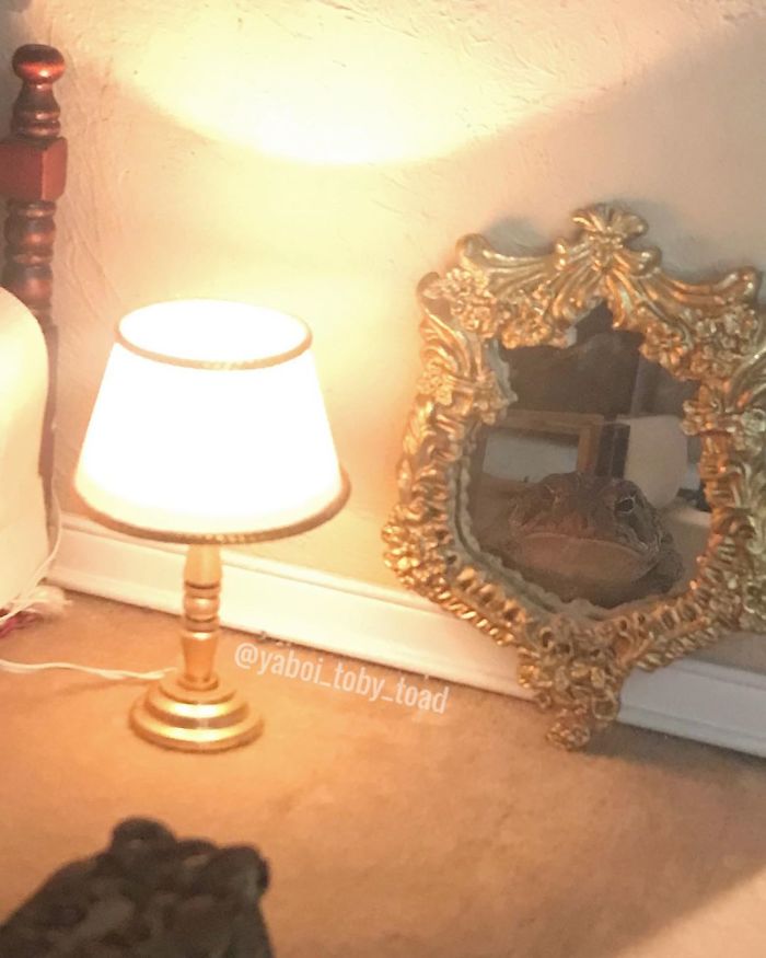 Is Not Easy Bein Greasy