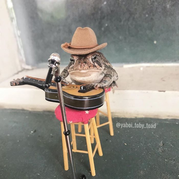 I Live Bak In The Woods U See, My Woman N My Kids N The Frogs N Me 