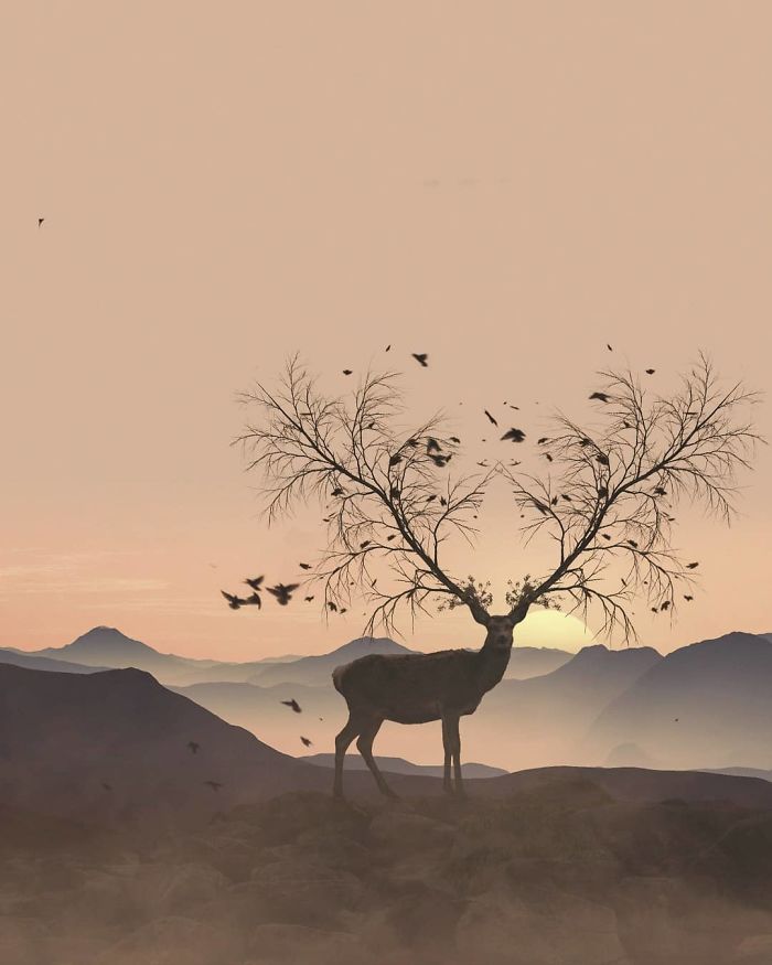 I’m A 23-Year-Old Turkish Guy Who Turns His Dreams Into Pictures