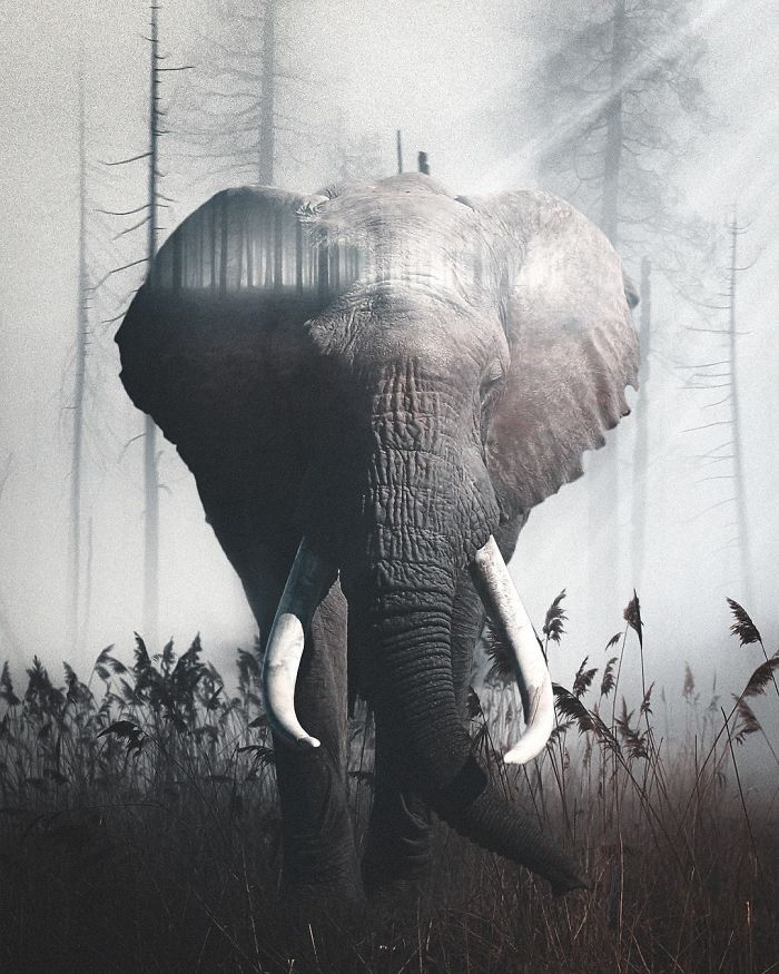 I’m A 23-Year-Old Turkish Guy Who Turns His Dreams Into Pictures